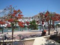 Cabo Harbor